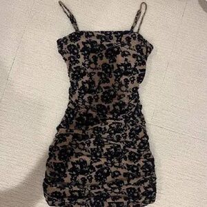 Windsor navy and nude dress NWT. never worn. Sz smal